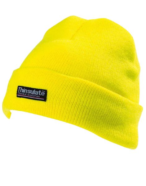 adult thinsulate hat